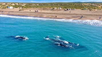 Una zona costera con playa y océano.