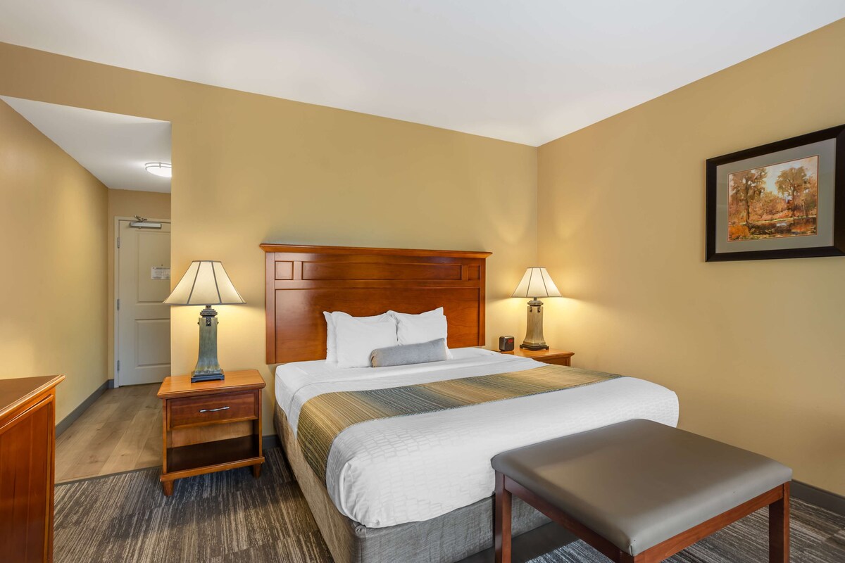 A hotel room with a large bed, two bedside tables with lamps, a bench, a door, and a framed picture on the wall.