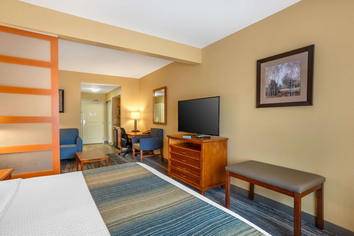 A hotel room with a bed, a desk, a chair, a television, and a framed picture on the wall.