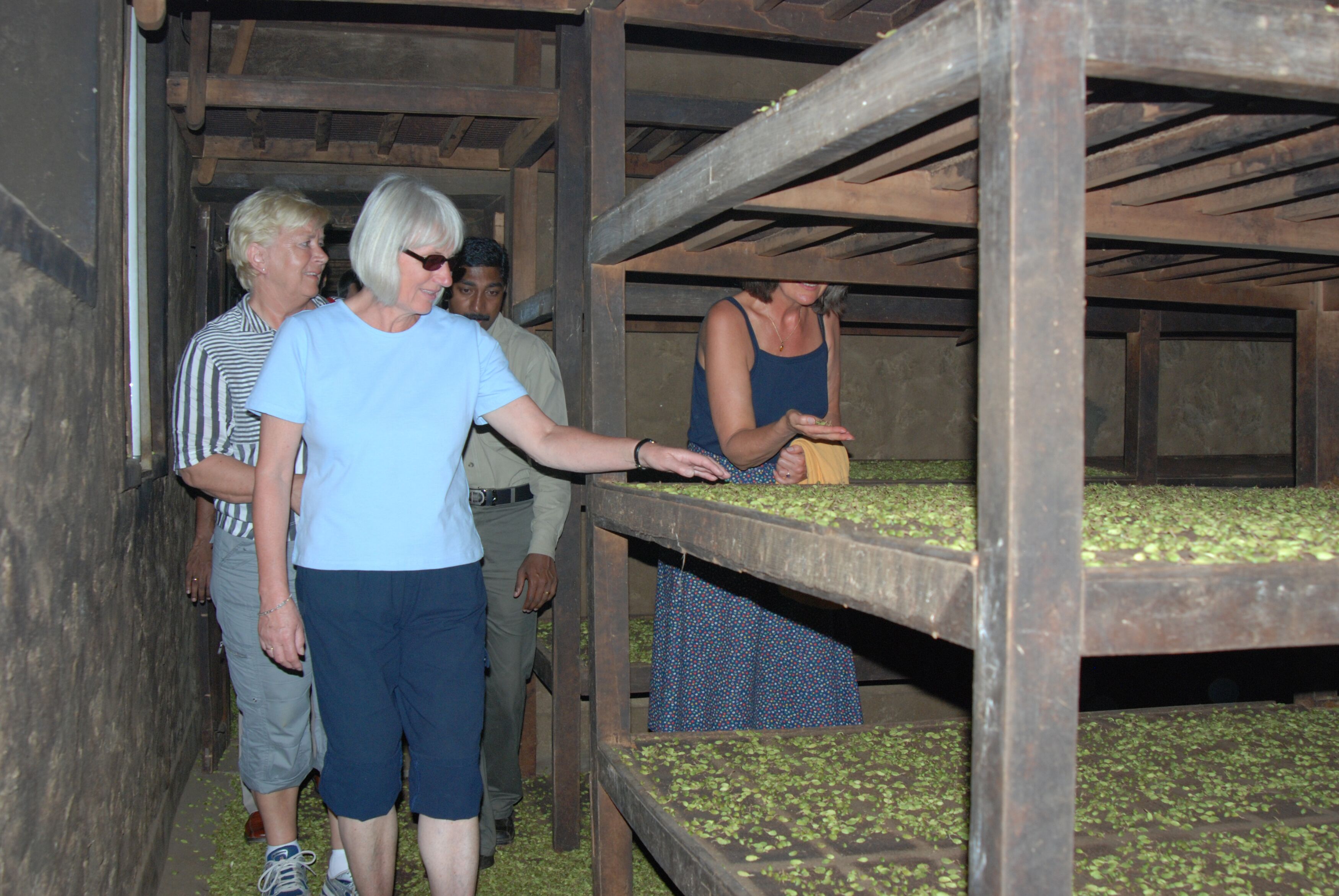 A group of people in a room with wooden bunk beds and a green floor.