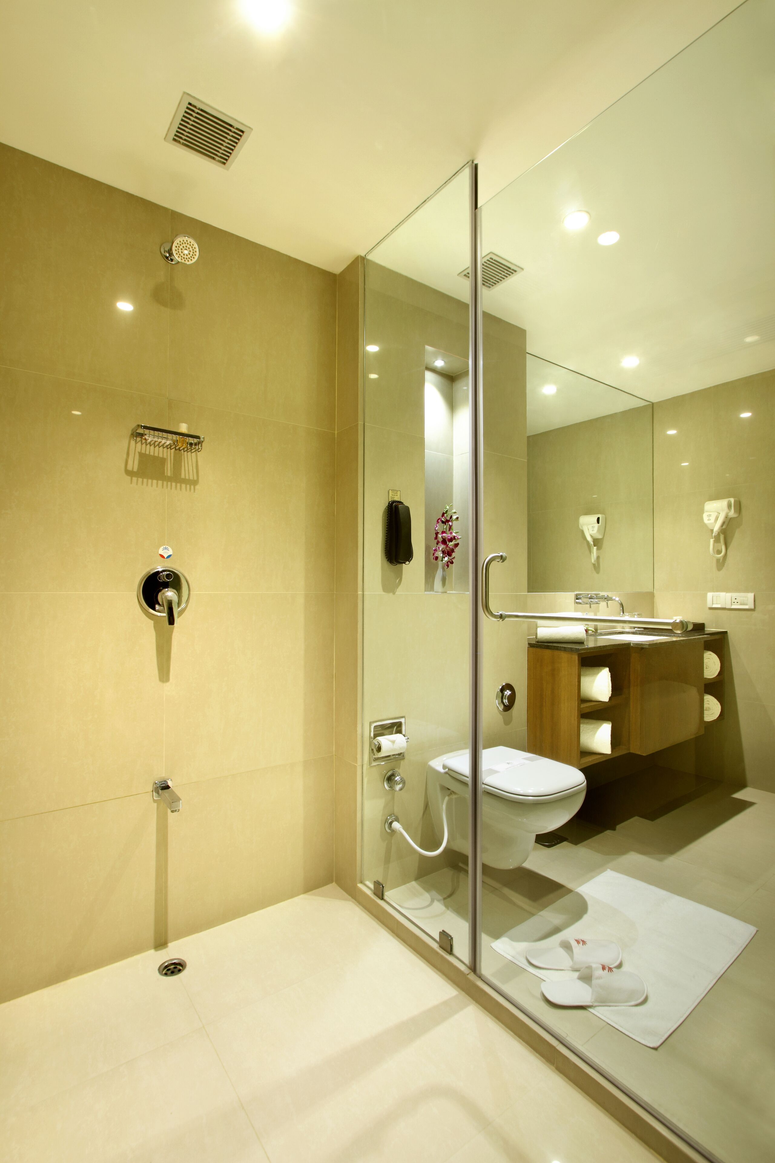 A modern bathroom with a glass shower enclosure, a toilet, and a sink with a mirror.