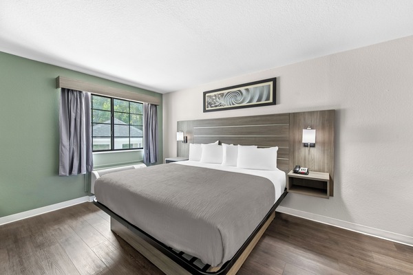 Standard Room, 1 King Bed, Non Smoking | Desk, laptop workspace, blackout drapes, free WiFi