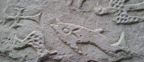 A stone wall with ancient carvings of a fish and a human figure.