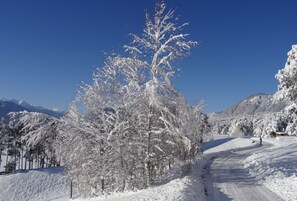 Paisaje nevado con cielo despejado, un árbol cubierto de nieve y una montaña al fondo.