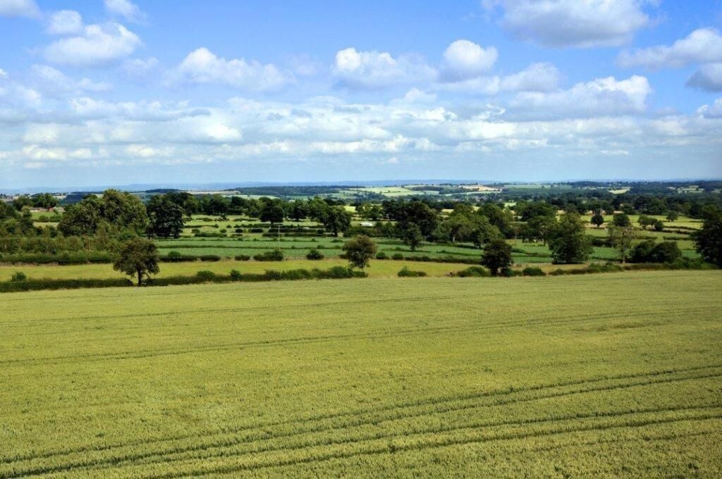 A vast, open field with a distant view of rolling hills and scattered trees under a partly cloudy sky.
