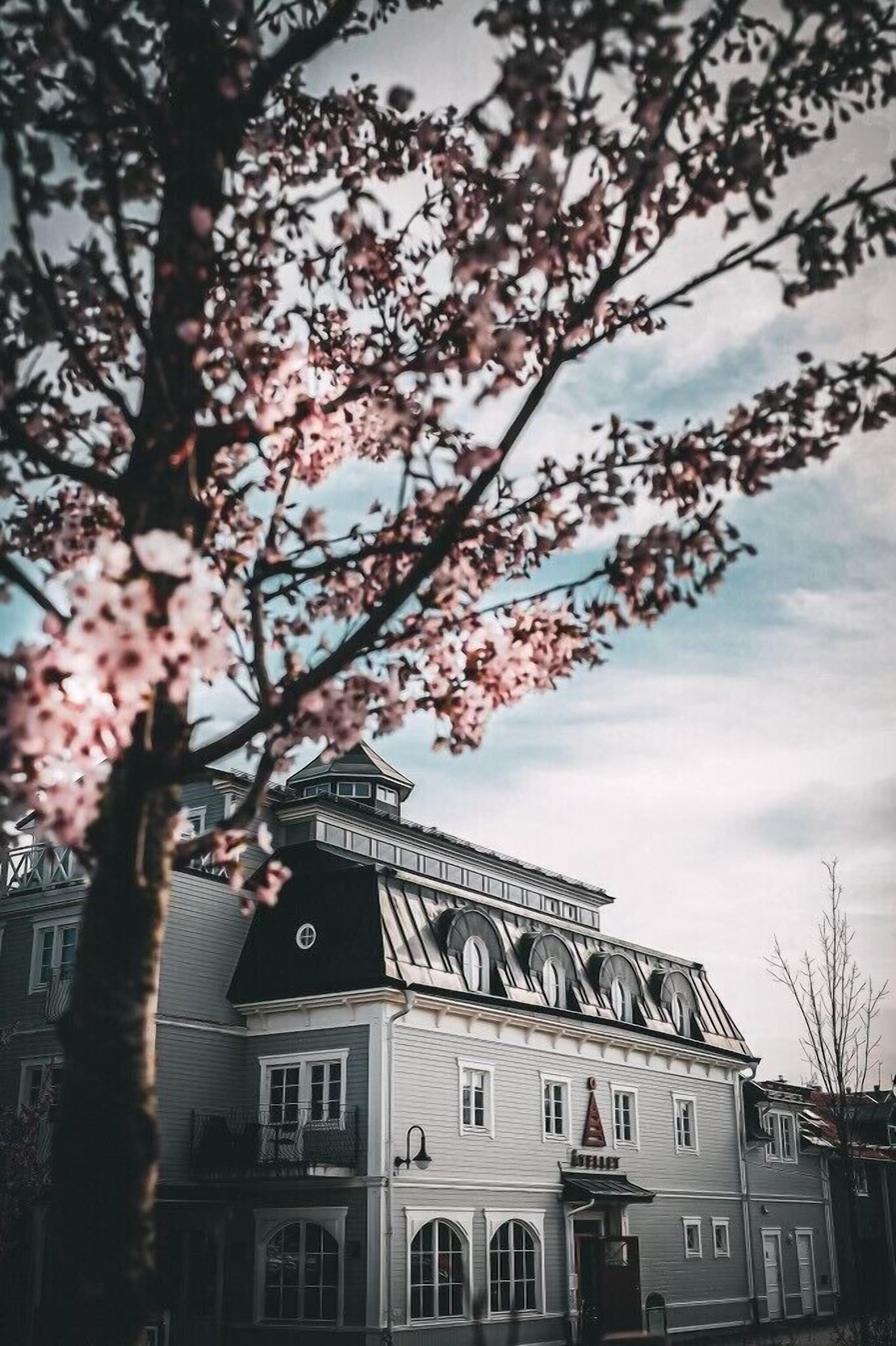 Un bâtiment historique à la façade symétrique, doté de nombreuses fenêtres et d’une entrée imposante surmontée d’un auvent rouge.