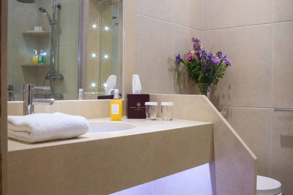 shower, free toiletries, hair dryer, towels