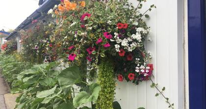 Penny Farthing Hotel