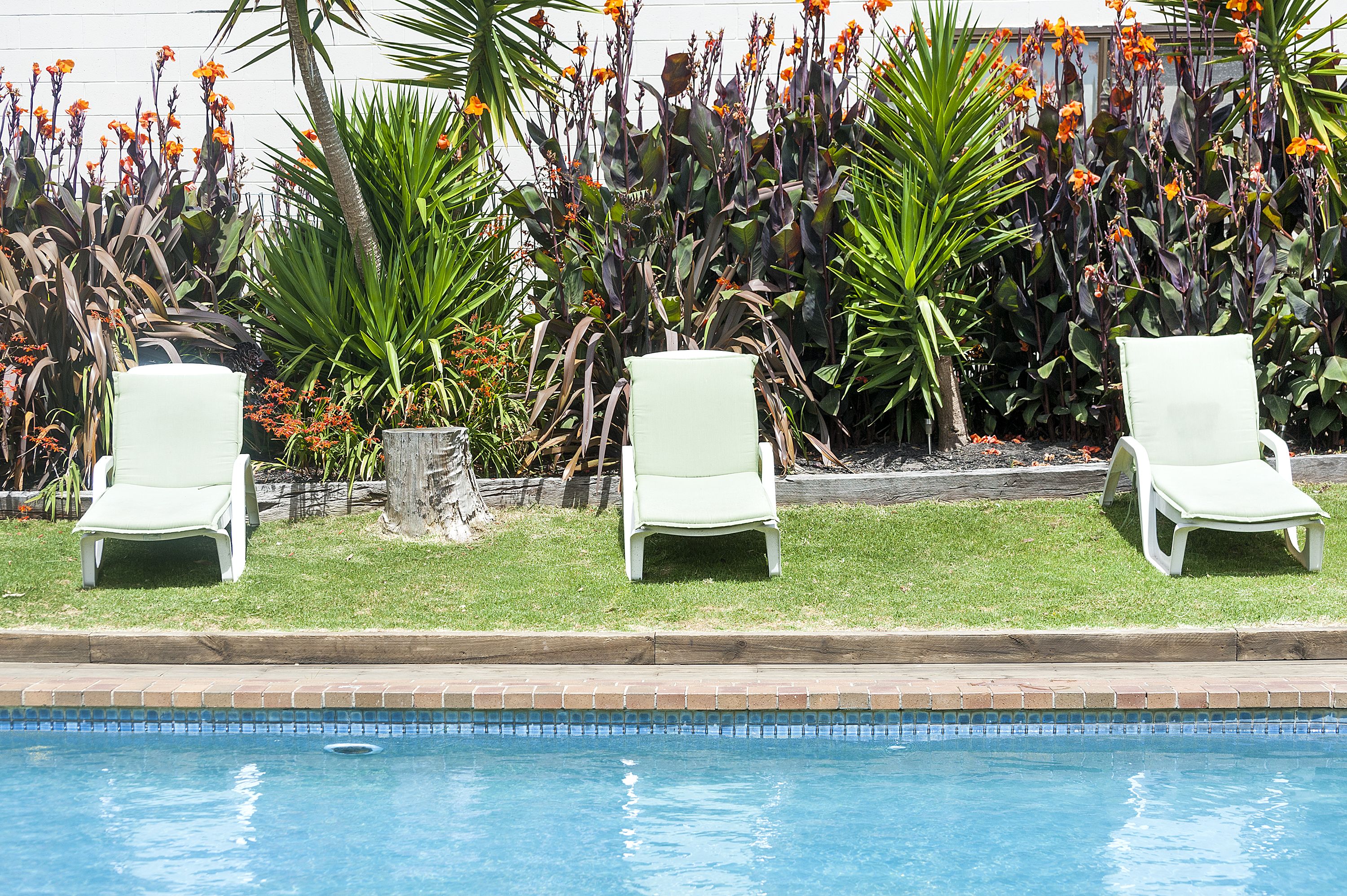 Zona de piscina con tres sillas de descanso blancas y diversas plantas tropicales.