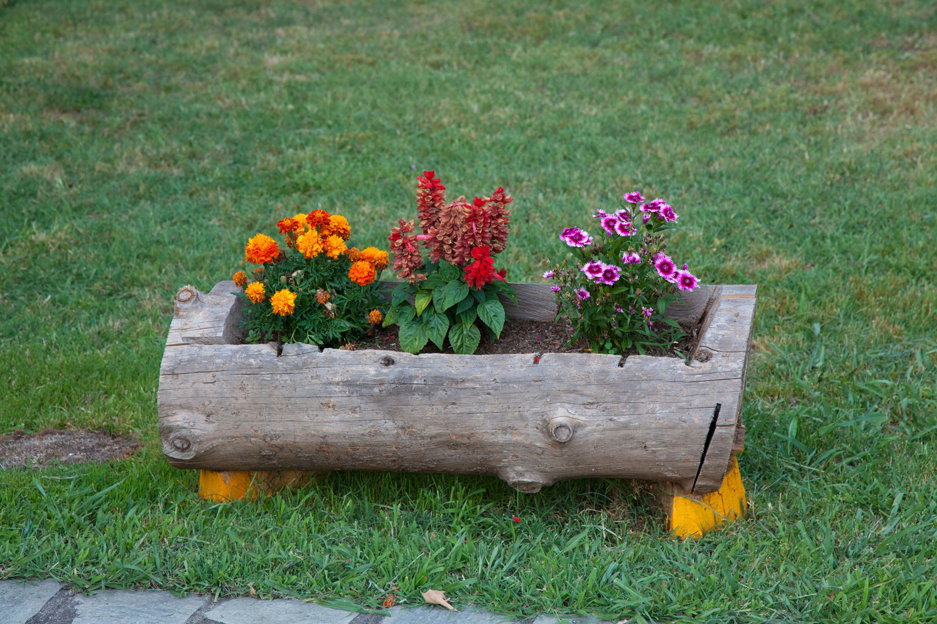 Un bac à fleurs en bois, orné de différentes variétés de fleurs, est posé sur une pelouse verdoyante.