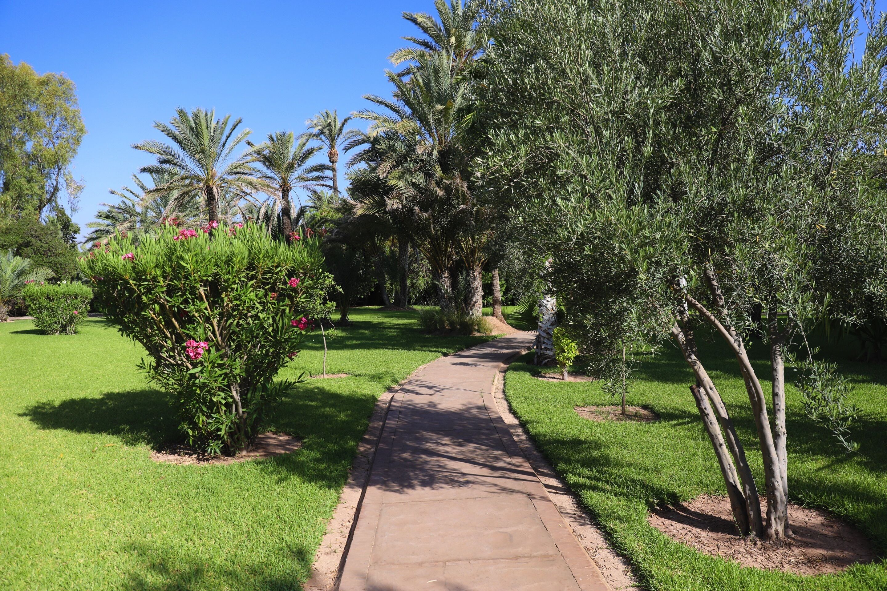 Foto - Villa Al Assala Palmeraie