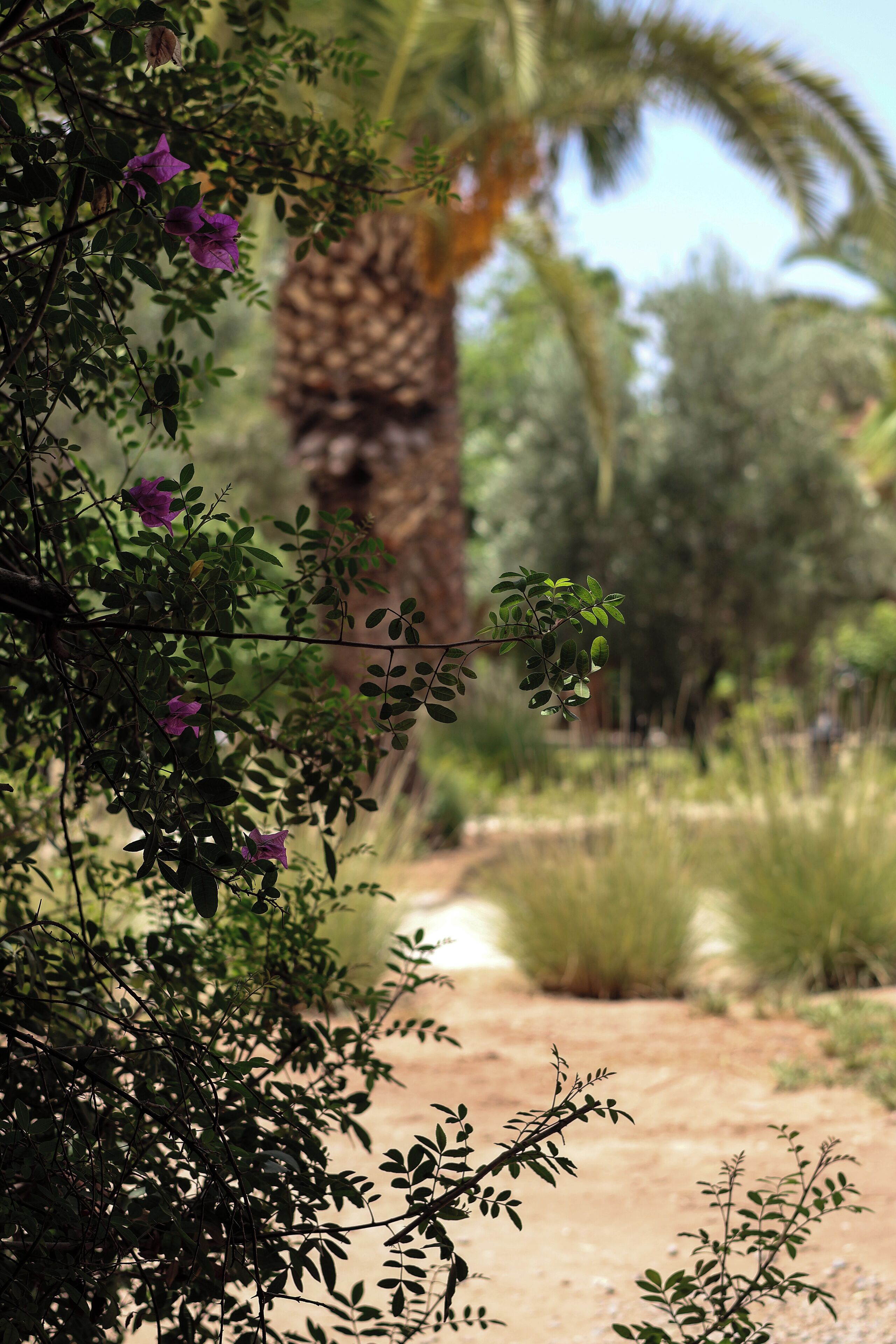 Foto - Villa Al Assala Palmeraie