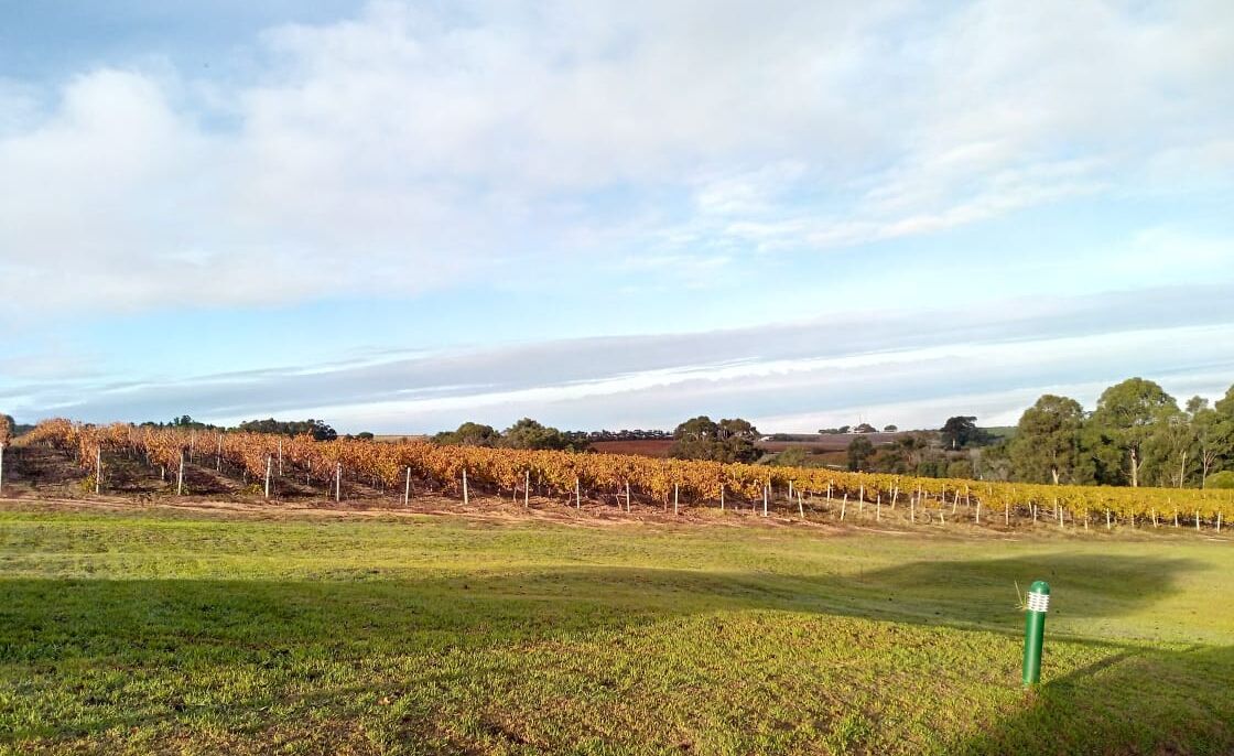 luxury room, 1 king bed, accessible, mountain view (country inn) | 1 bedroom, in-room safe, desk, laptop workspace