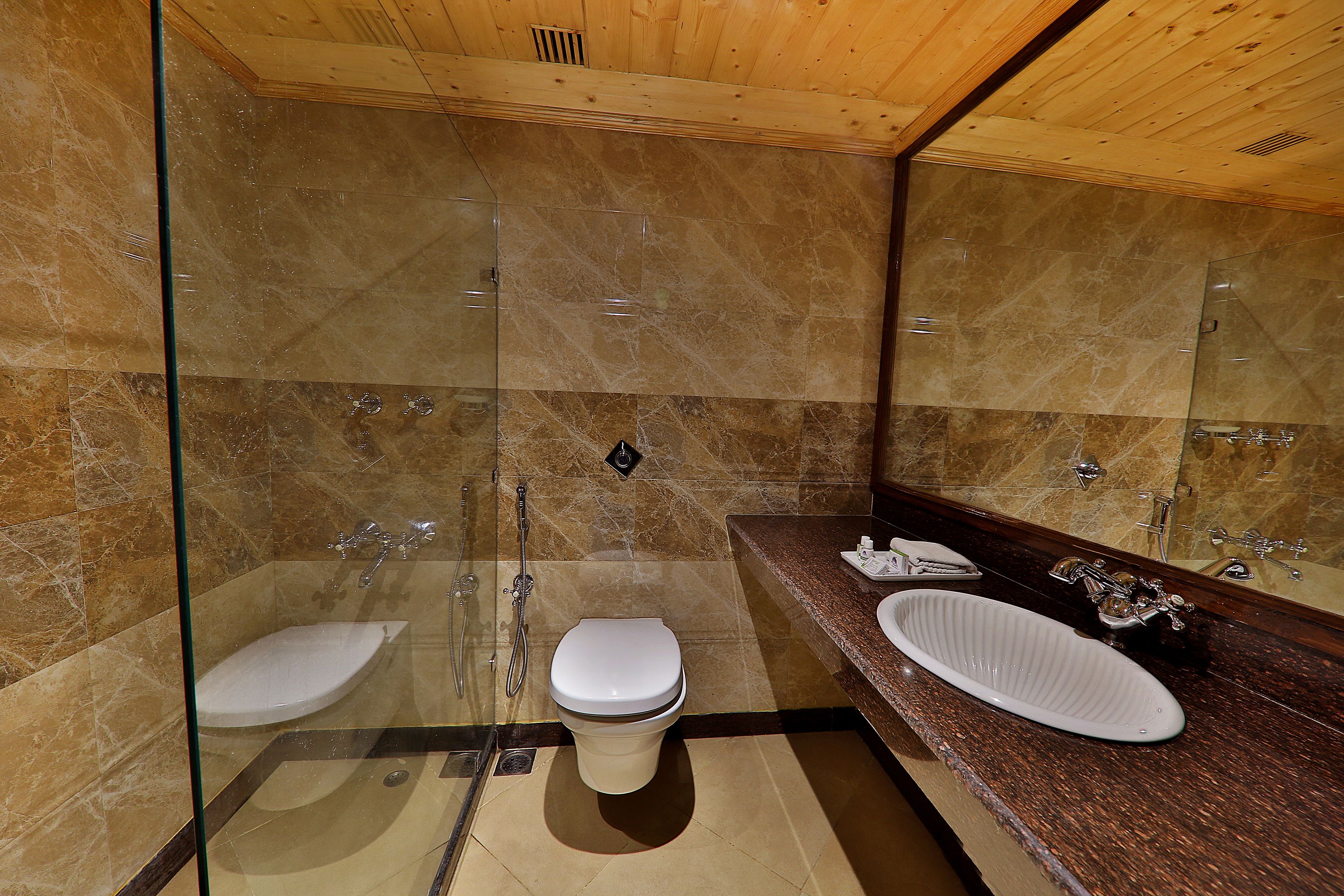 Bathroom shower