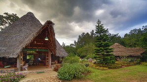 A rustic thatched-roof building with a wooden interior, surrounded by lush greenery and a tall coniferous tree. - Elephant Valley (Kodaikanal)