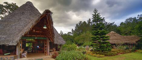 A rustic thatched-roof building with a wooden interior, surrounded by lush greenery and a tall coniferous tree.