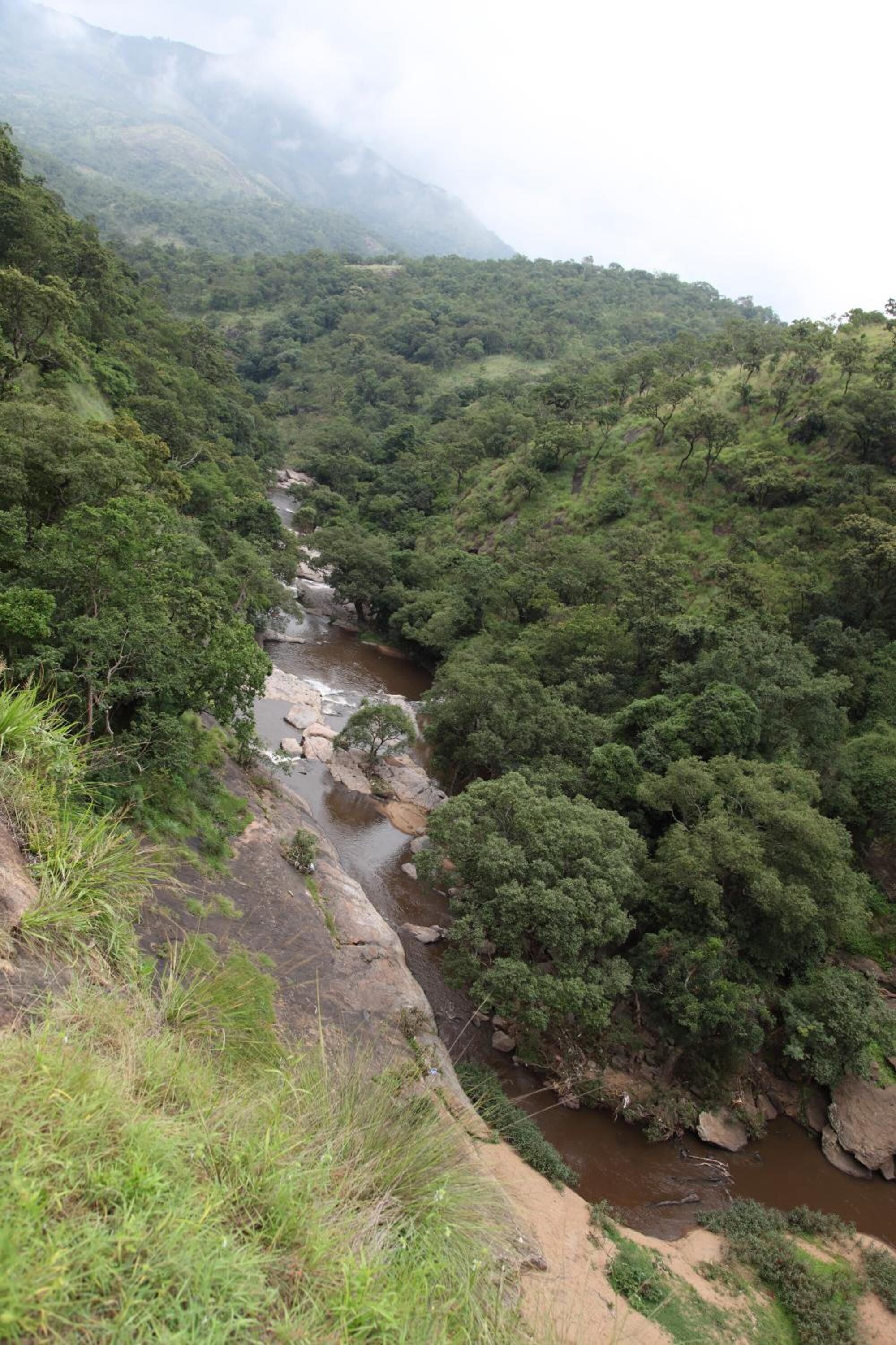 A river flowing through a densely forested valley with rocky terrain and mountains in the background.