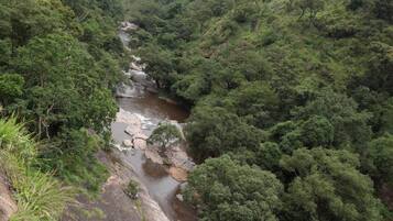 A river flowing through a densely forested valley with rocky terrain and mountains in the background.