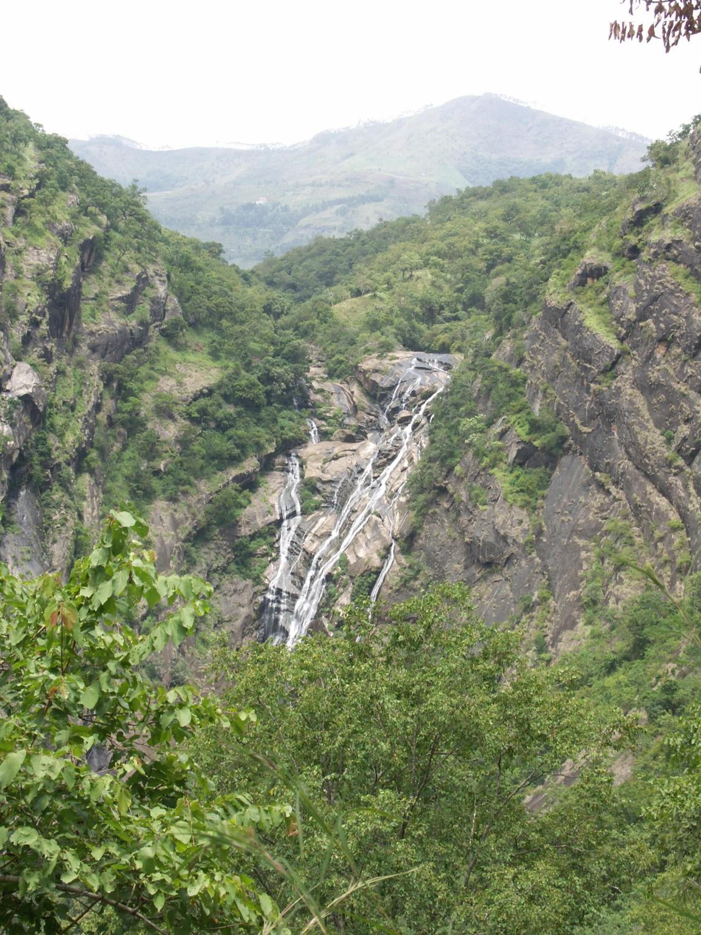 Una cascada se precipita por un risco rocoso rodeado de exuberante vegetación.