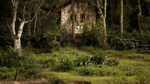 A rustic stone house surrounded by dense forest and a calm pond. - Elephant Valley (Kodaikanal)