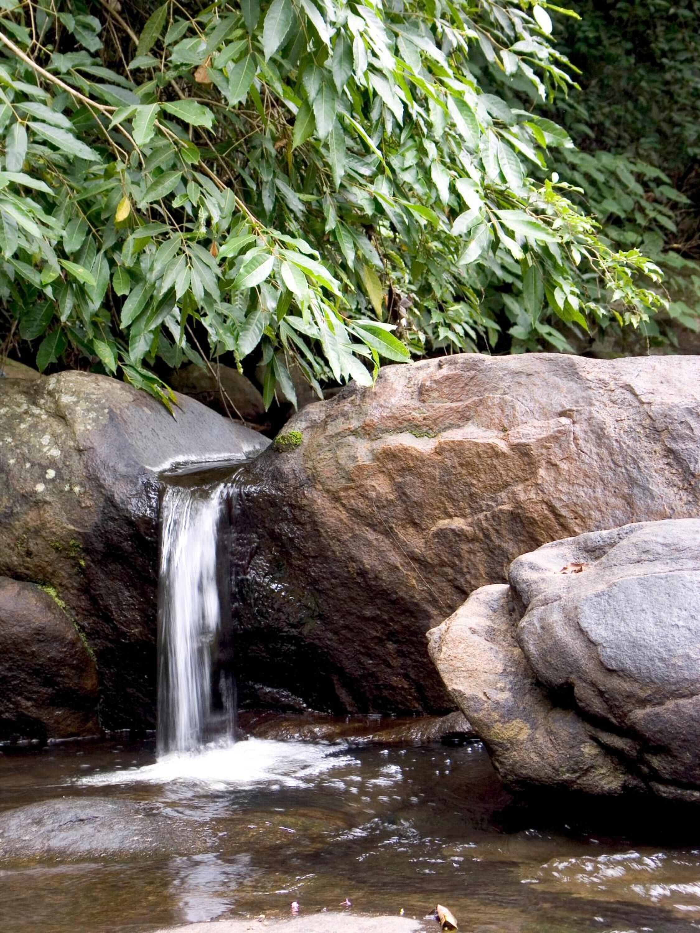A waterfall cascading over rocks in a forested area.