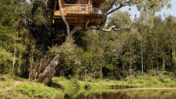 A treehouse with a wooden deck and railing, surrounded by lush greenery and a calm body of water. - Elephant Valley (Kodaikanal)