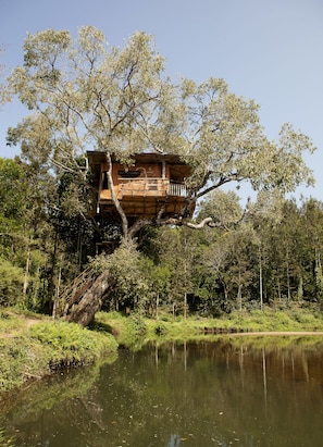 A treehouse with a wooden deck and railing, surrounded by lush greenery and a calm body of water.