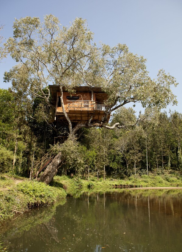 Property grounds - Elephant Valley (Kodaikanal)