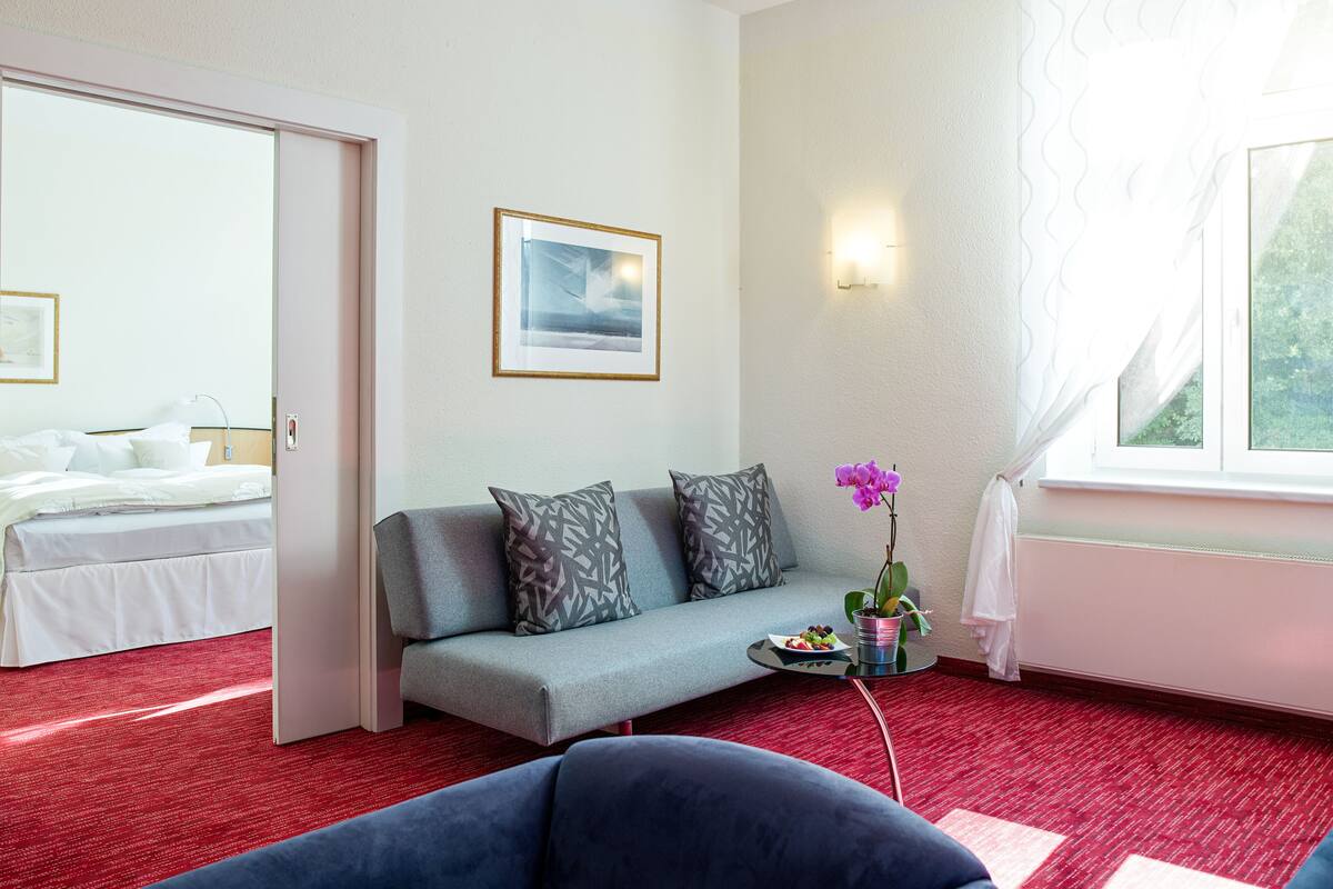 Habitación de hotel con cama, sofá gris, una mesita con una planta y una ventana con cortinas.