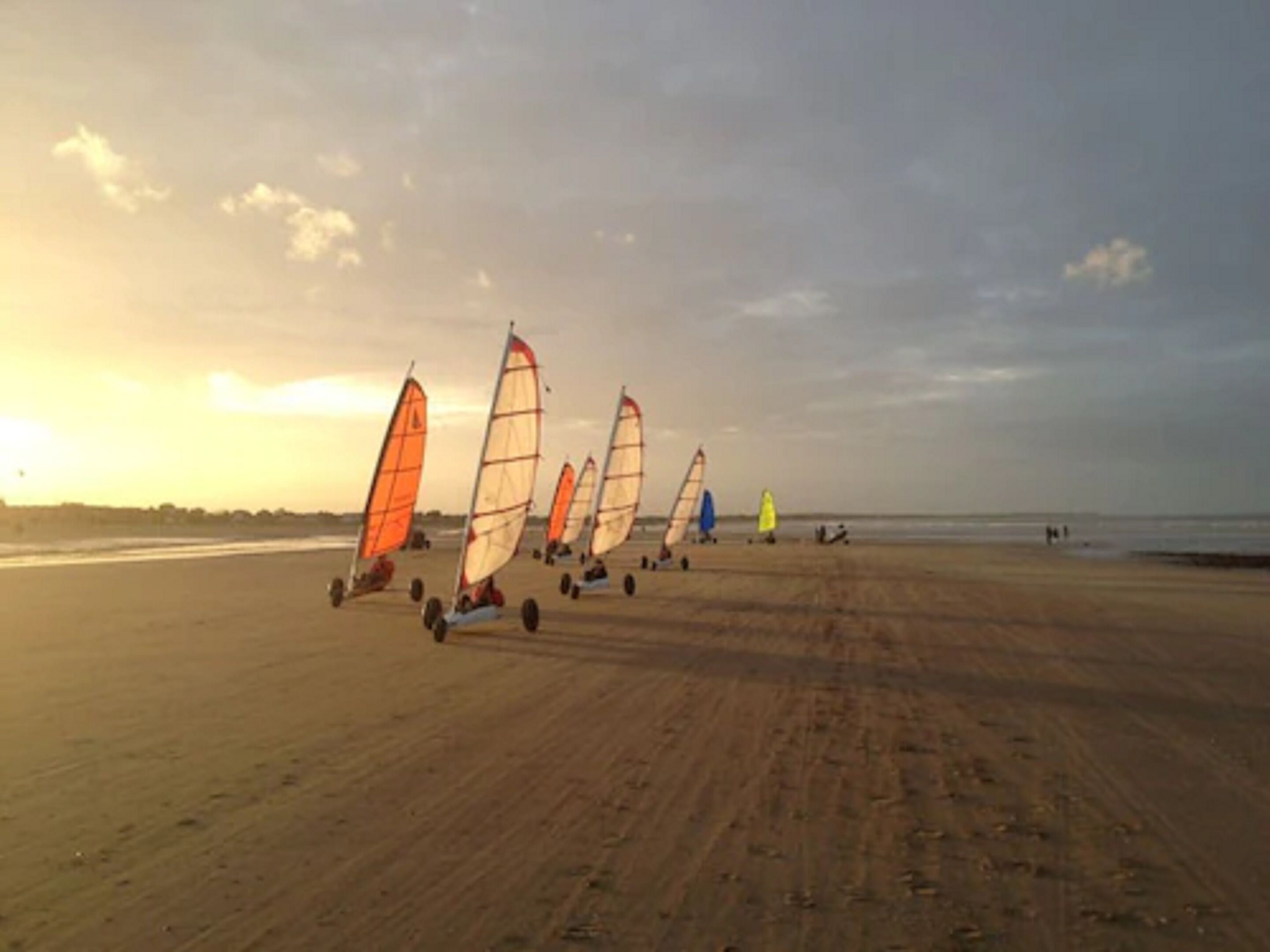 Een strand met verschillende windsurfplanken en zeilen.