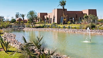 A modern building with a pool, surrounded by palm trees and rocks.