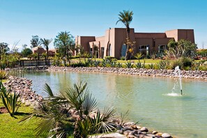 A modern building with a pool, surrounded by palm trees and rocks.