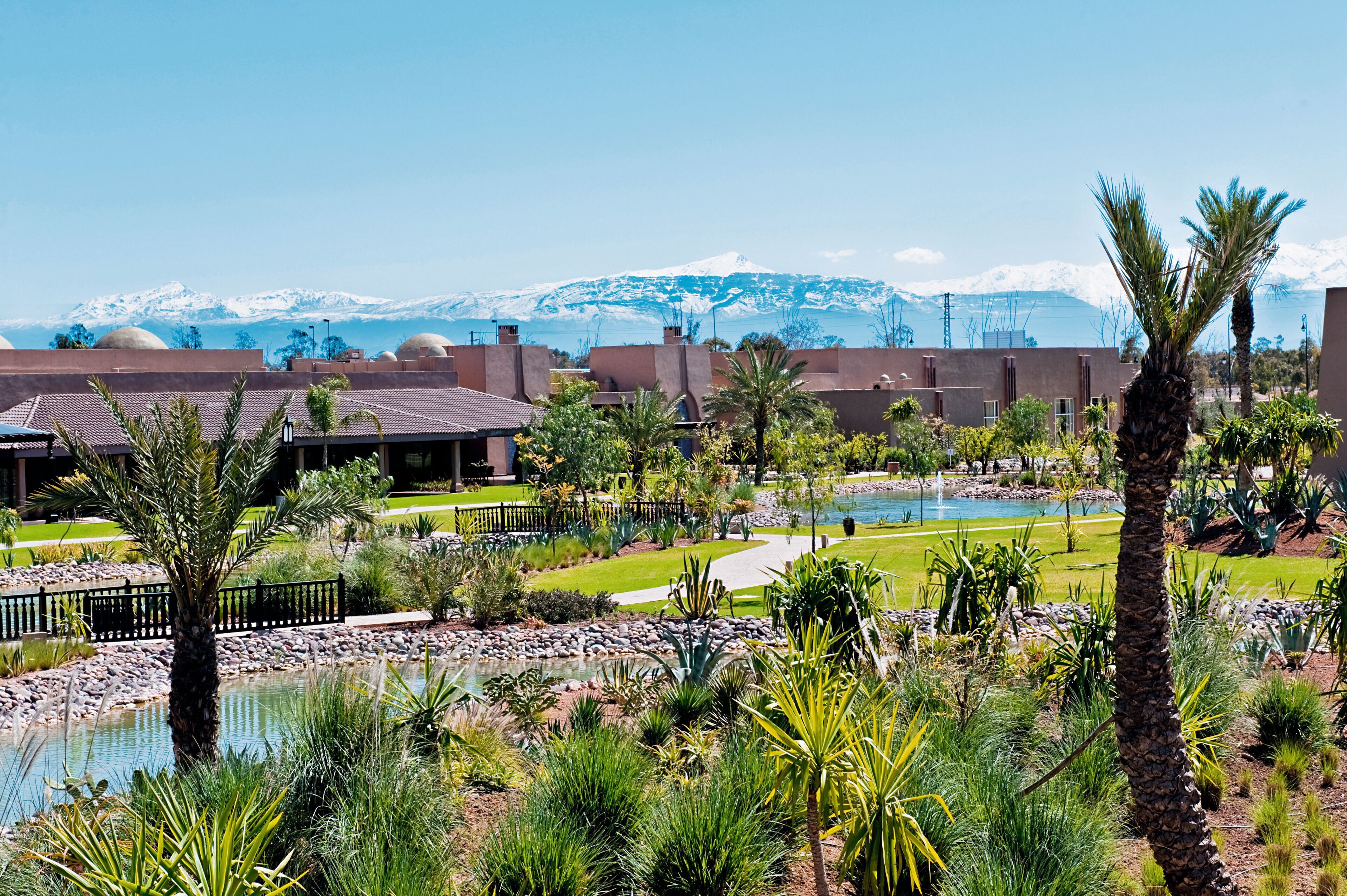 Ein Resort mit Pool, Palmen und Blick auf die Berge.
