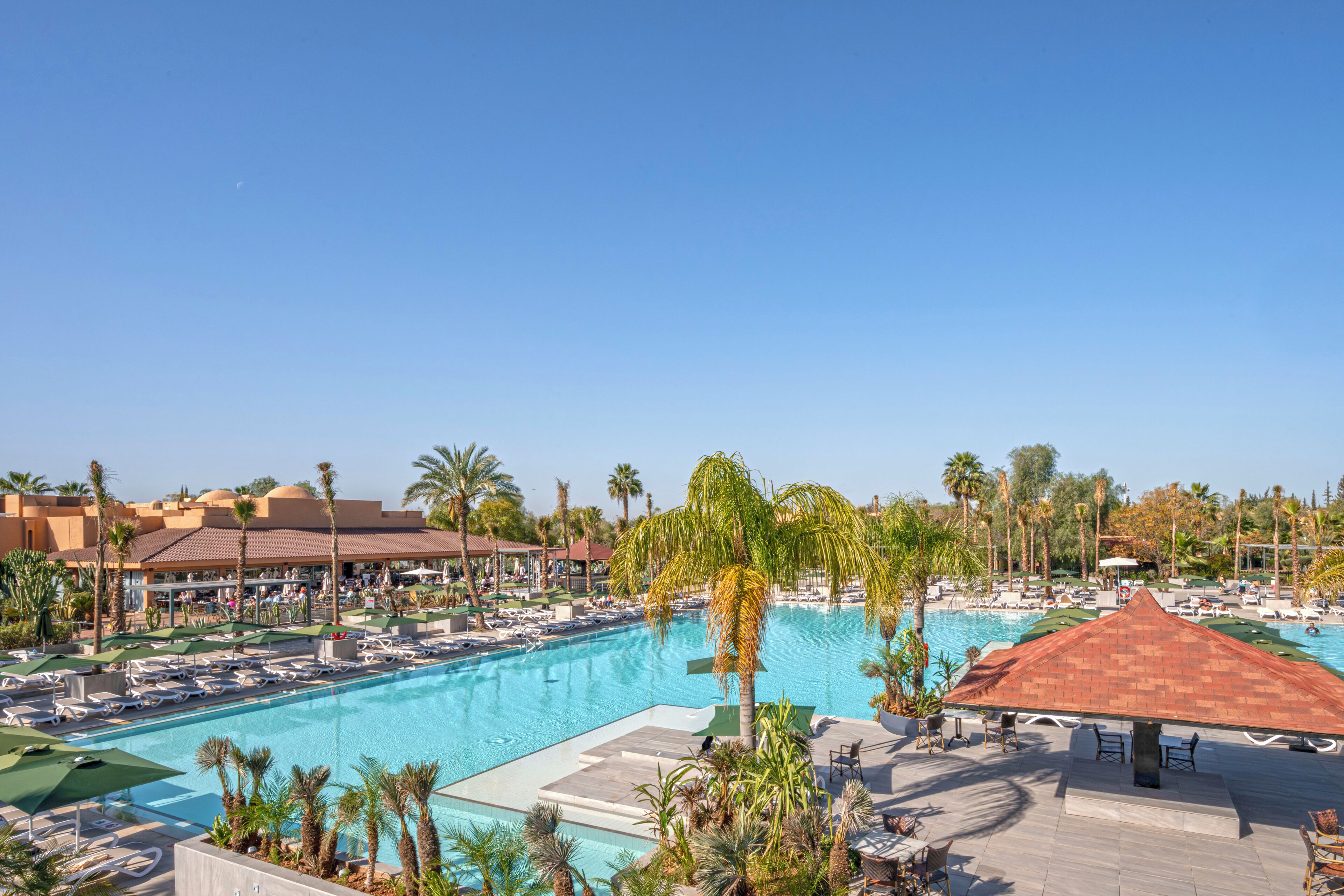 A resort pool area with lounge chairs, umbrellas, and palm trees.