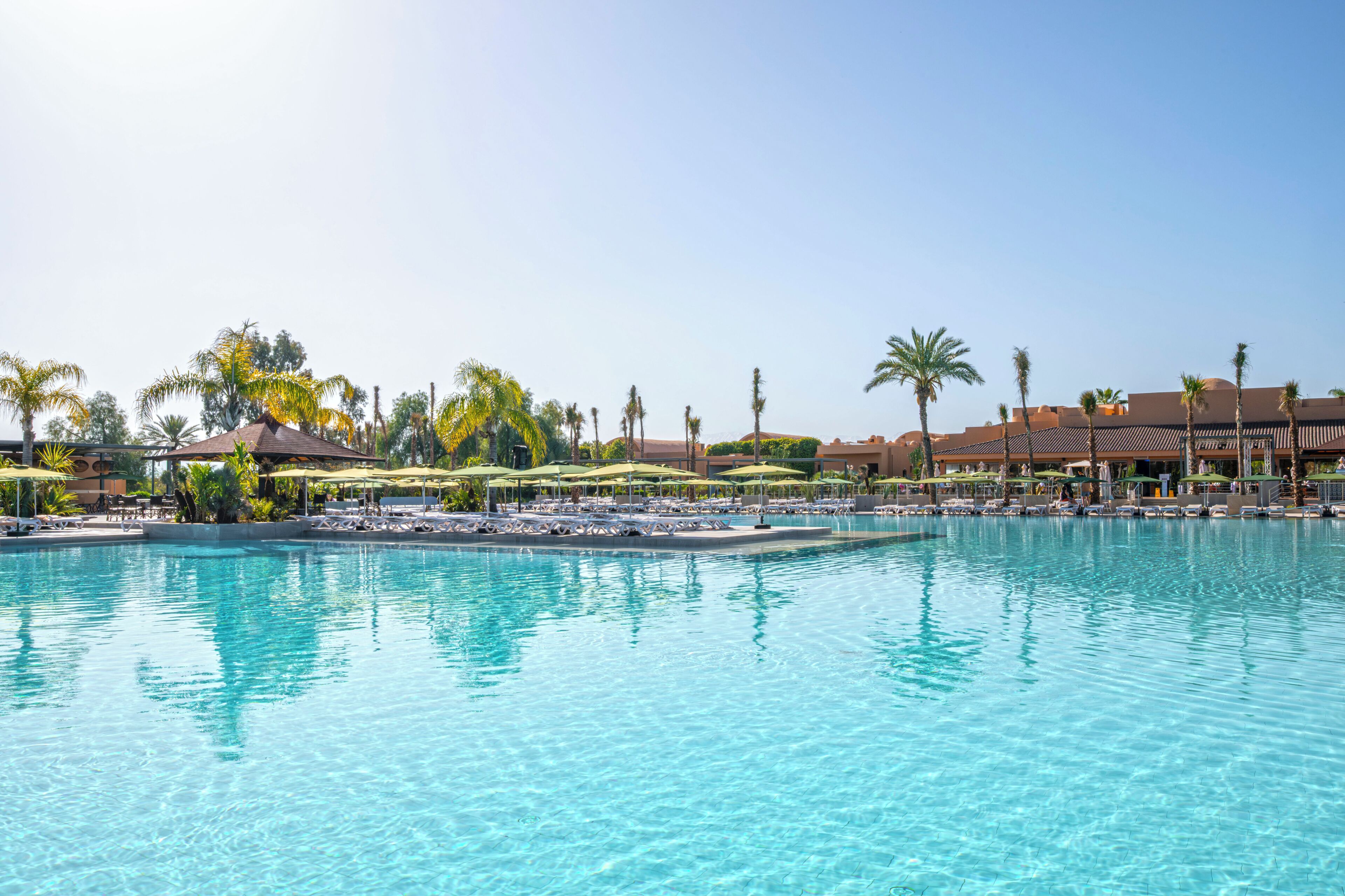 A swimming pool with lounge chairs and umbrellas, surrounded by palm trees and buildings.