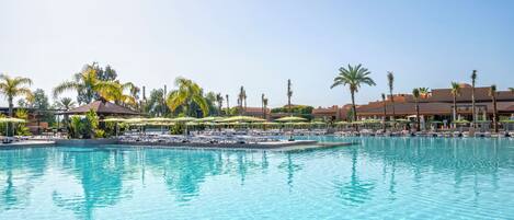 A swimming pool with lounge chairs and umbrellas, surrounded by palm trees and buildings.