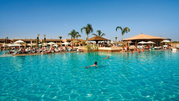 A large outdoor swimming pool with lounge chairs and umbrellas, surrounded by palm trees and a clear blue sky.