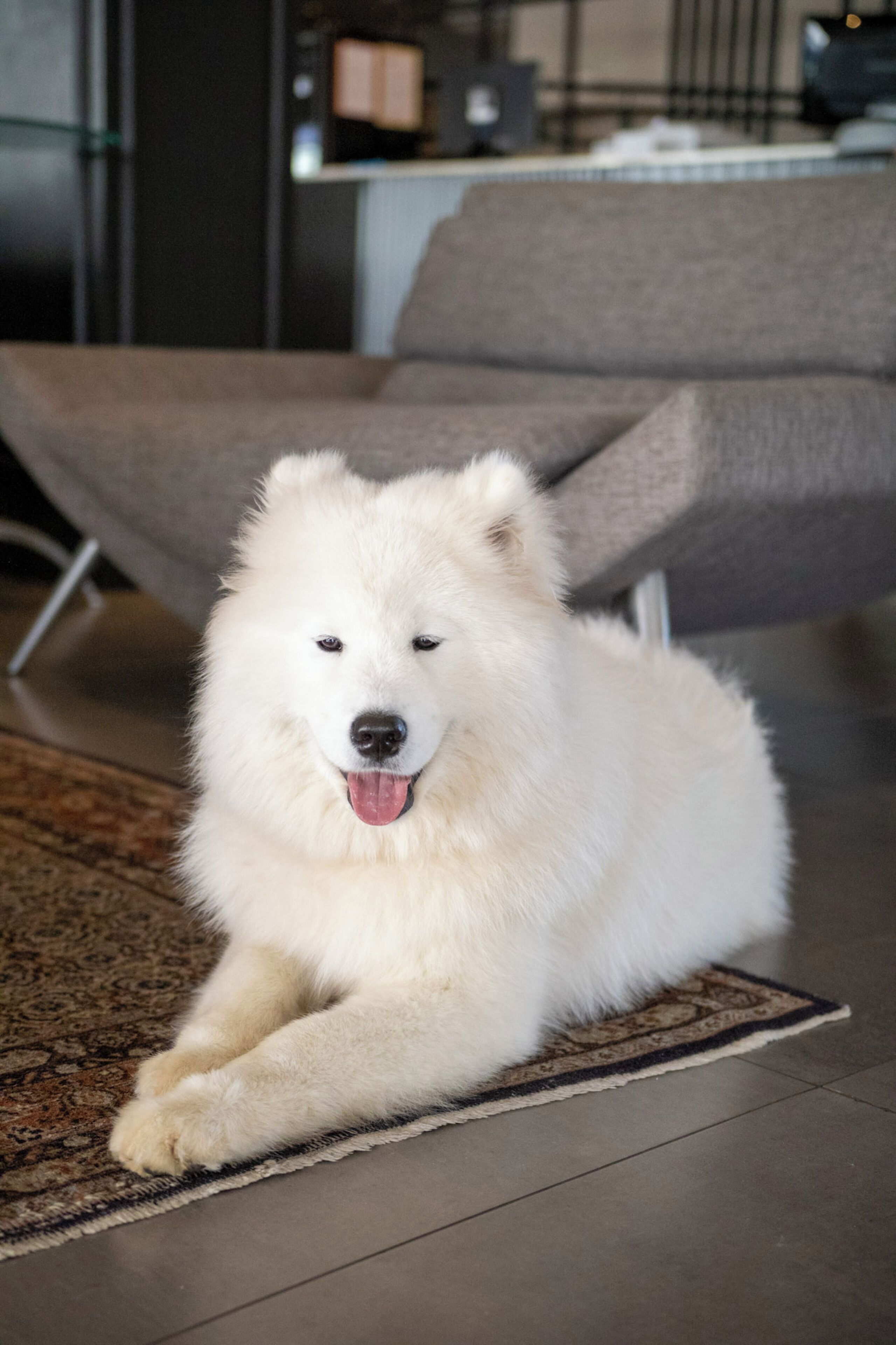 Foto - Coral Trade e Eventos prox a Pucrs, Araujo Vianna