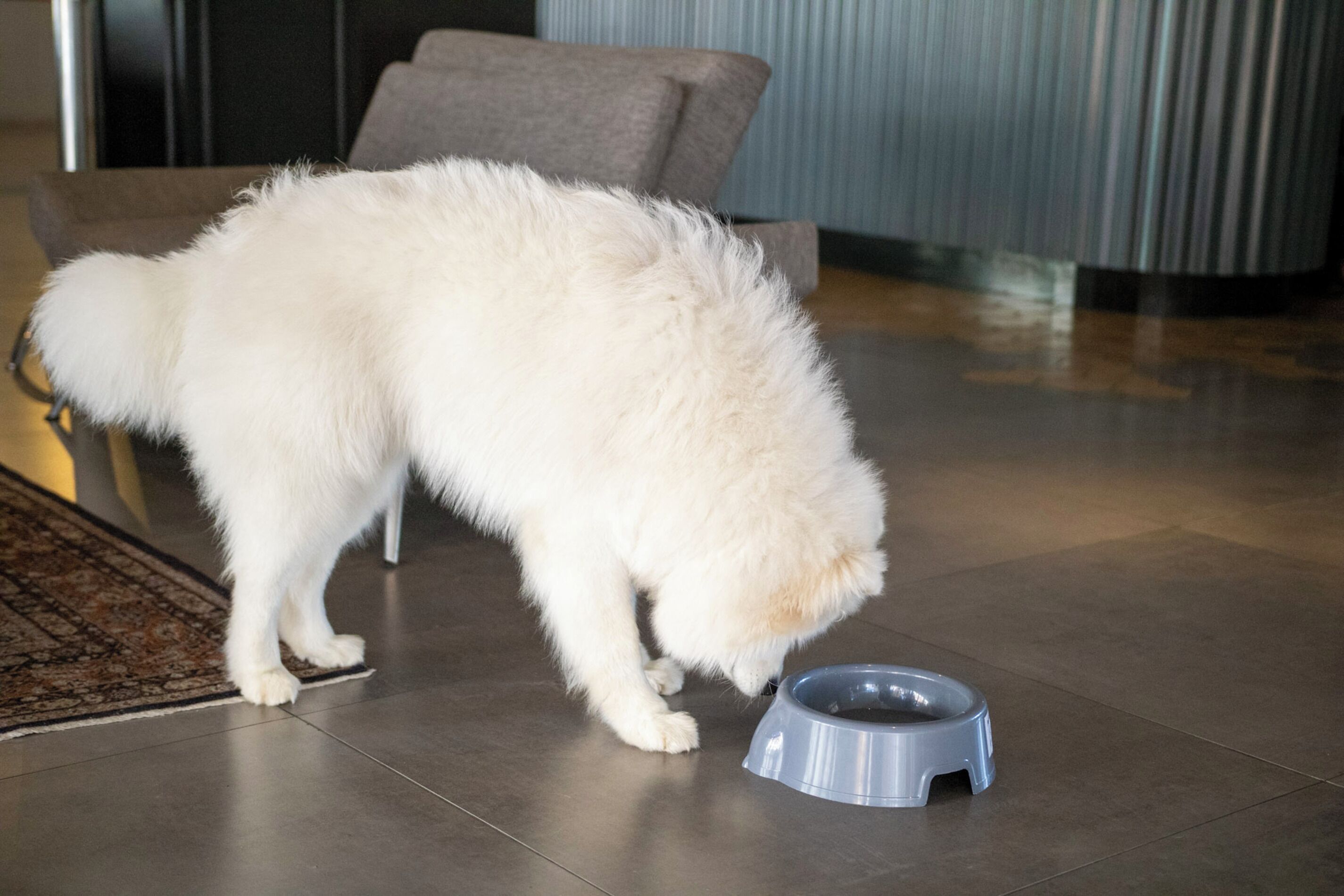 Foto - Coral Trade e Eventos prox a Pucrs, Araujo Vianna