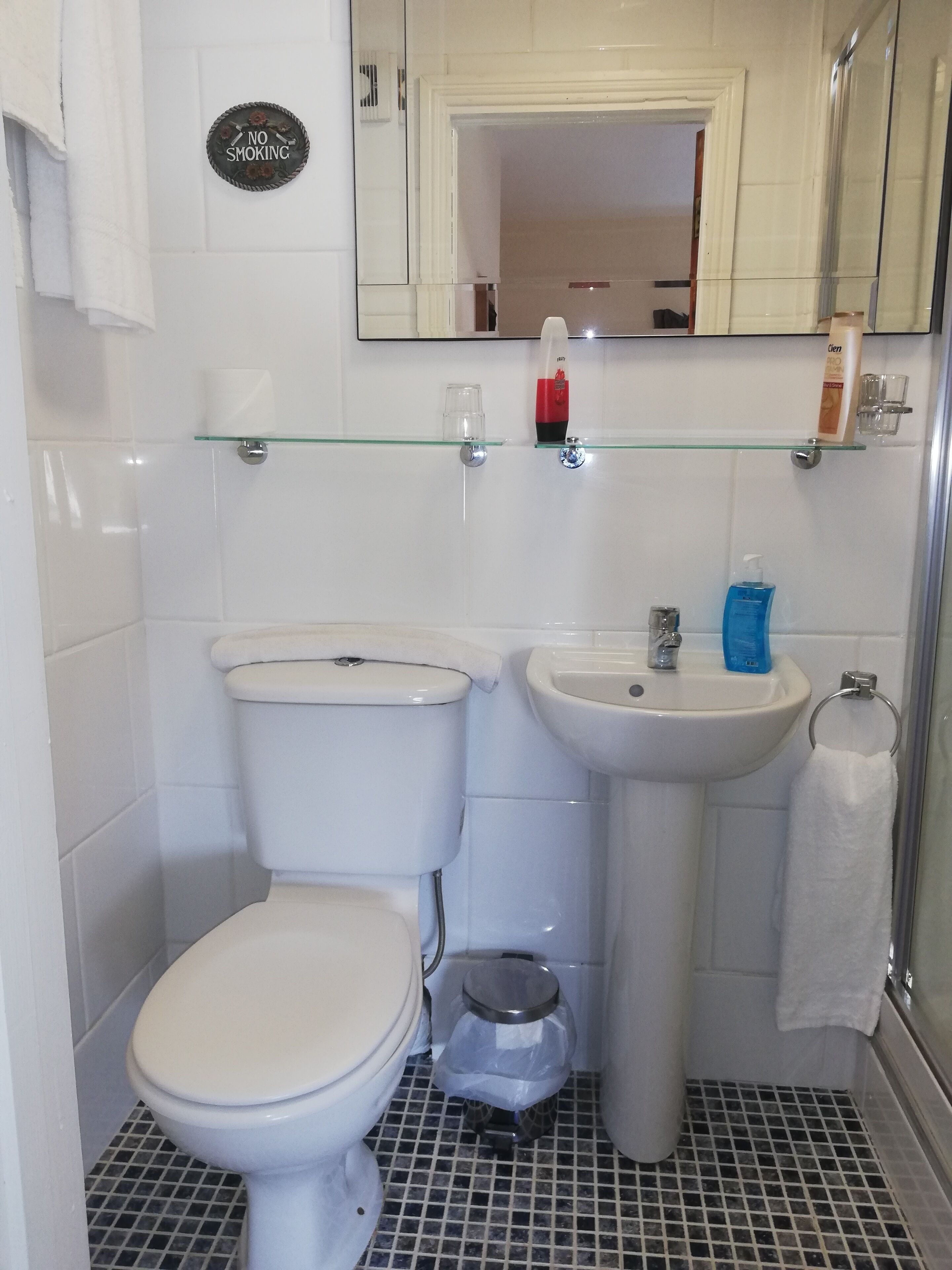Ein Badezimmer mit Toilette, Waschbecken und einer Duschkabine aus Glas.
