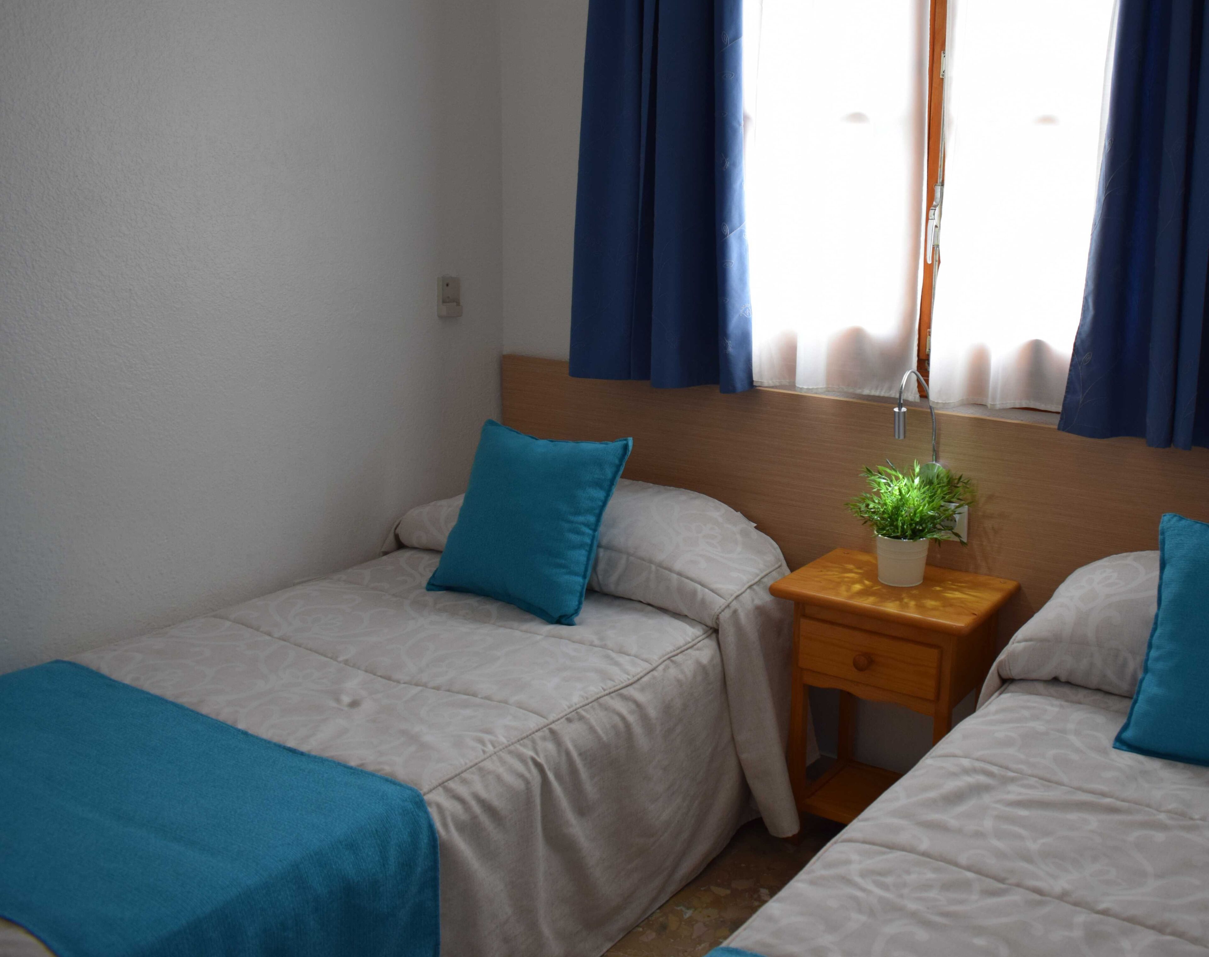 A hotel room with two beds, a nightstand with a plant, and a window with curtains.