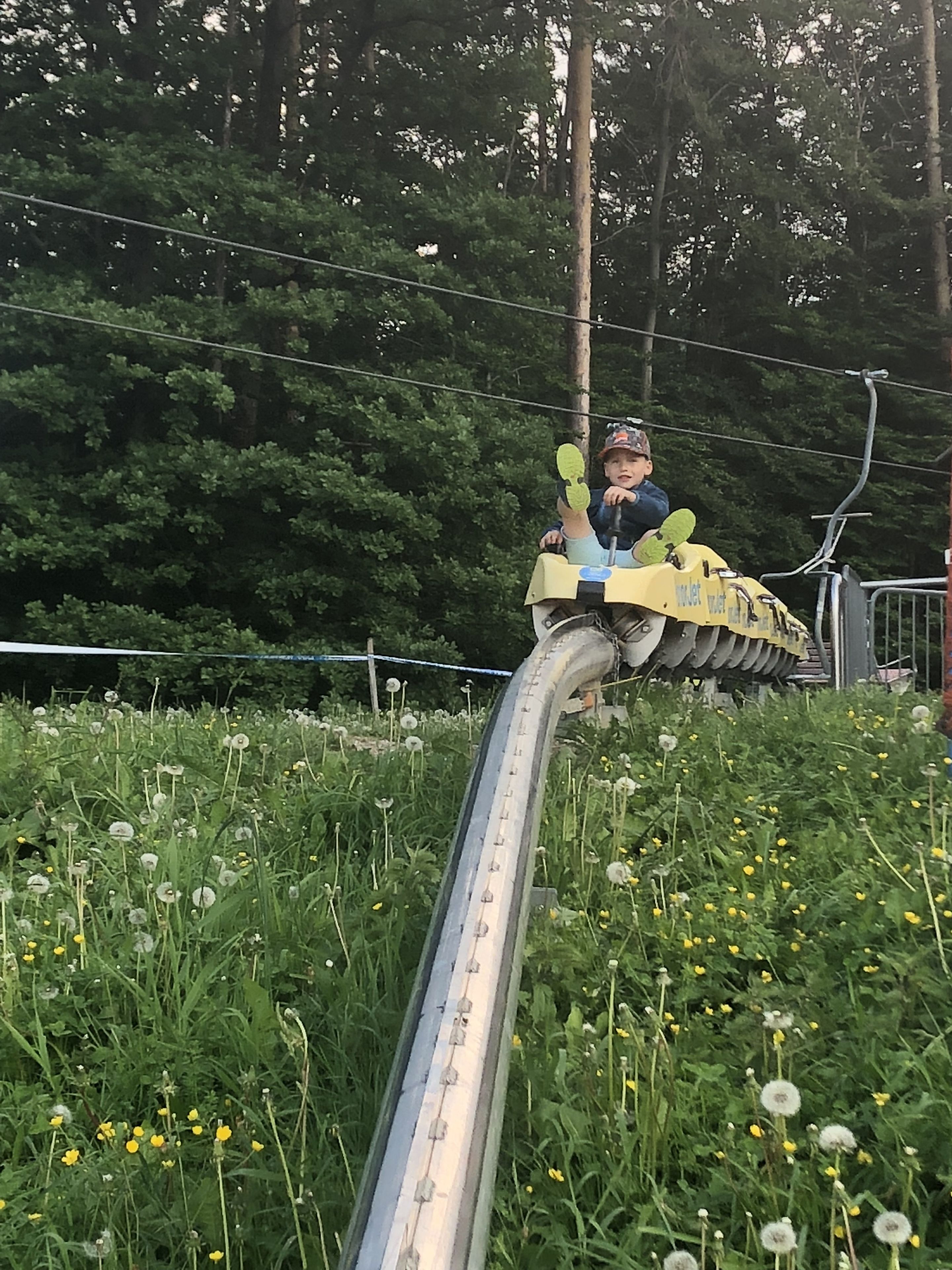 A person riding a yellow vehicle on a track surrounded by greenery and dandelions.