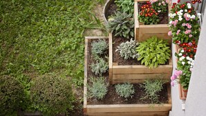 A tiered garden bed with various plants and flowers. - Hotel Bajt Maribor (Maribor)
