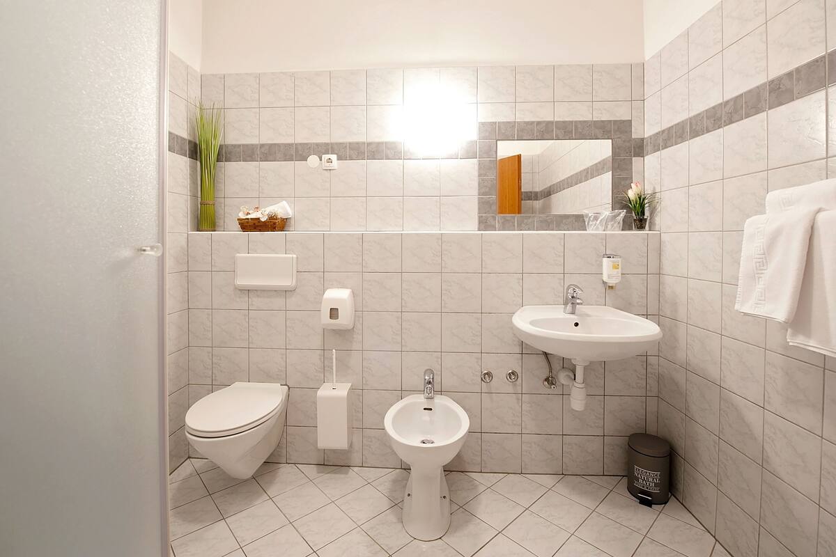 business double room single use, 1 king bed, mountain view | bathroom | towels, soap, shampoo, toilet paper