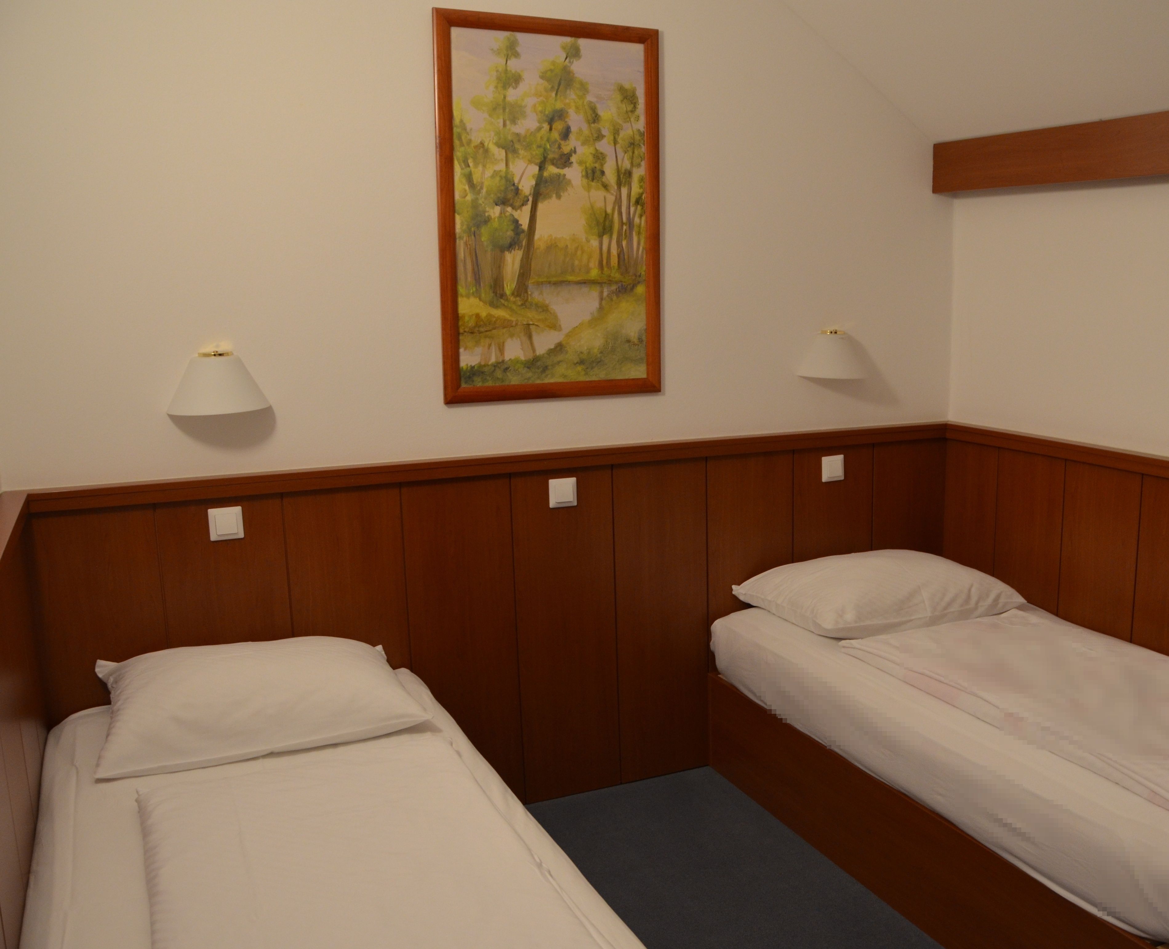 Habitación de hotel con dos camas individuales, cabeceros de madera, ropa de cama blanca, un cuadro de un paisaje y lámparas de noche.