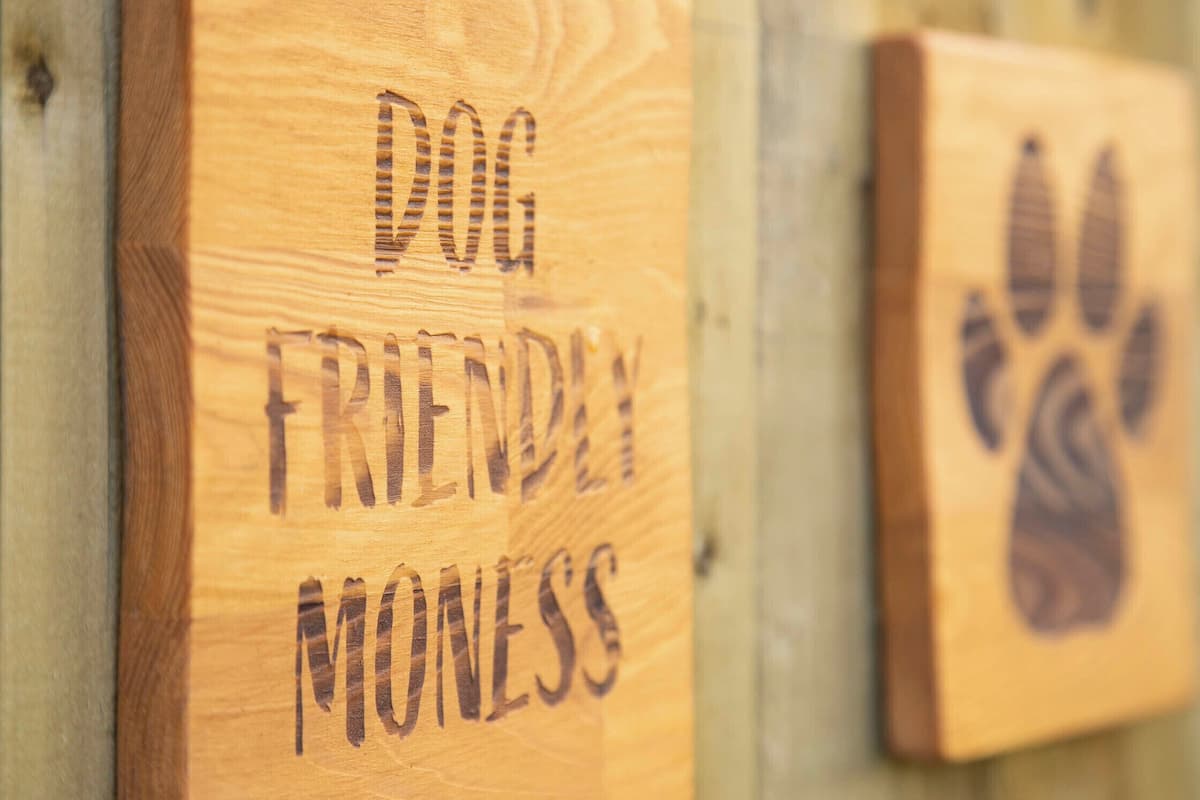 Wooden signs with the text "DOG FRIENDLY" and a paw print.