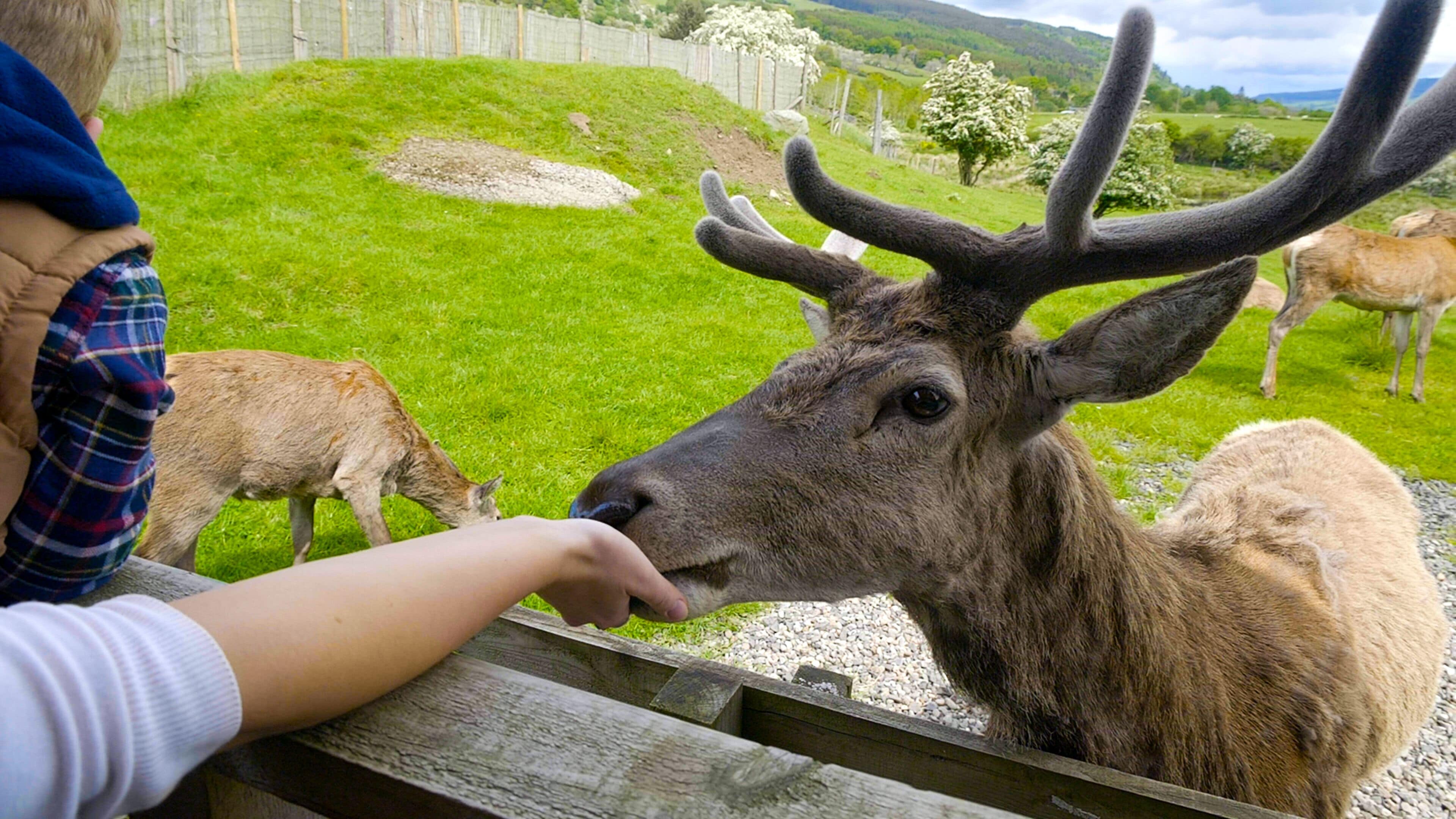 children’s activities