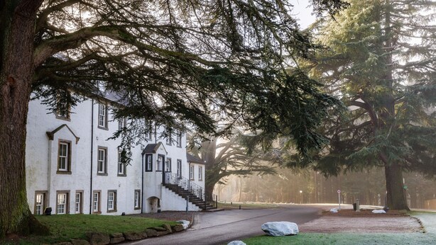 Un bâtiment blanc avec un escalier menant à l’entrée, entouré de grands arbres et bordé d’une allée pavée.