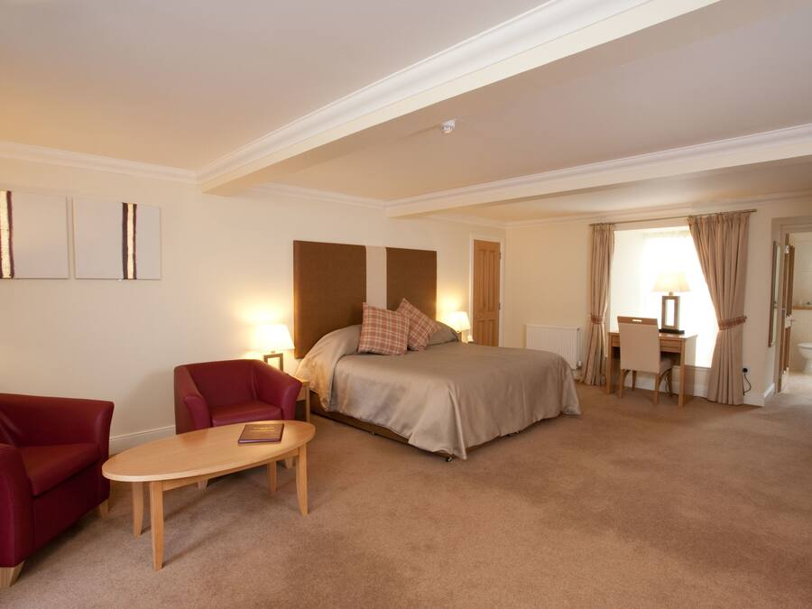 A hotel room with a bed, a desk, a chair, and a sofa.