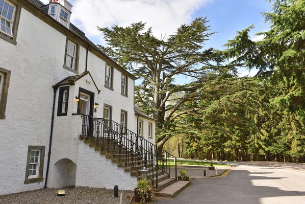 Un edificio blanco con una escalera y un árbol grande en la parte delantera.